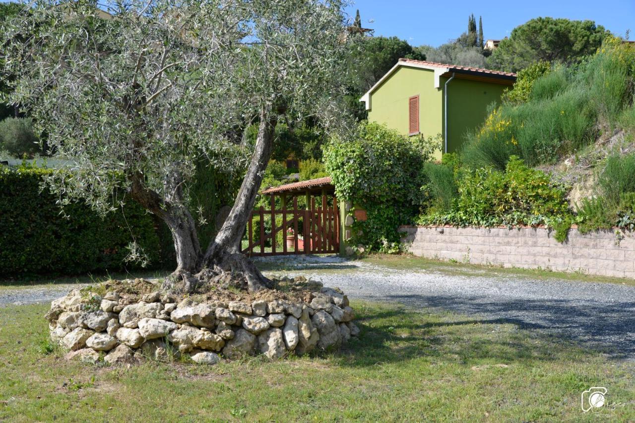 Casa Verde Country House Montescudaio Exteriér fotografie