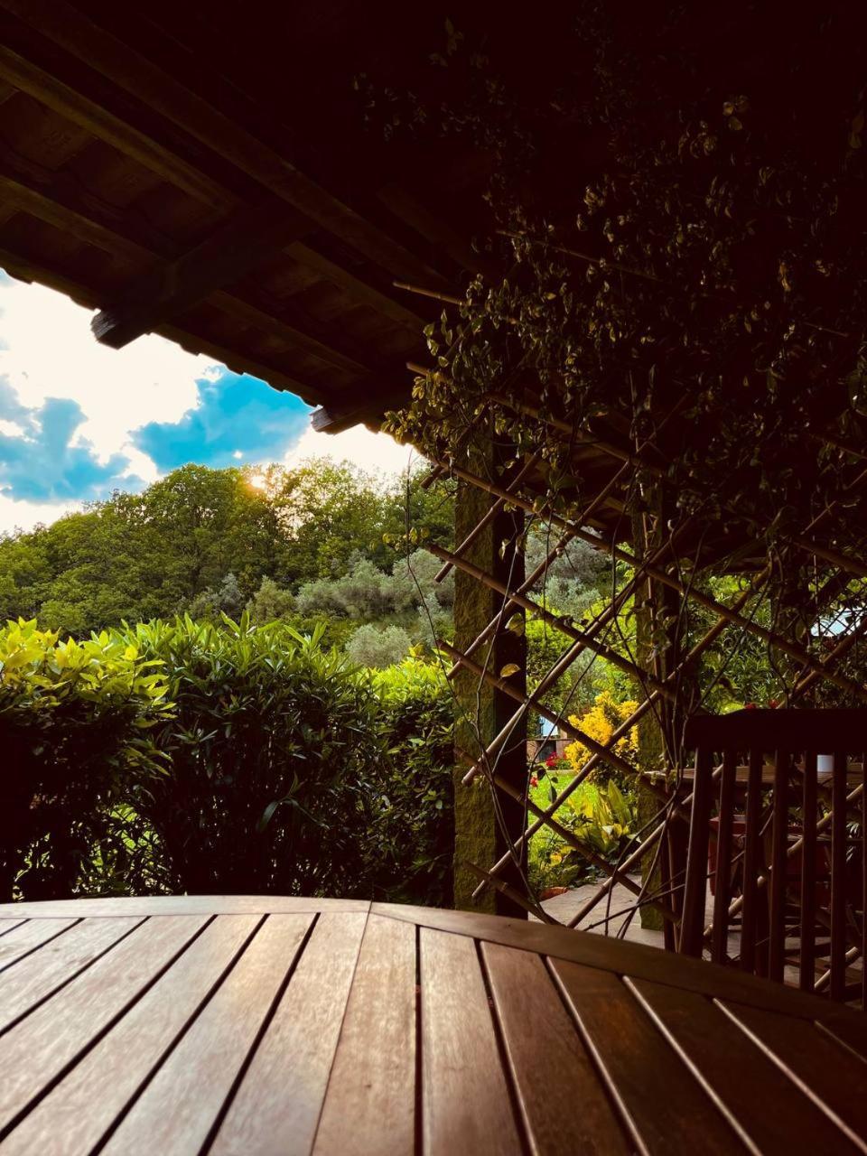 Casa Verde Country House Montescudaio Exteriér fotografie